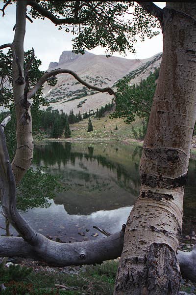 The trail to Stella and Teresa Lake is
one of Americas most beautiful trails .